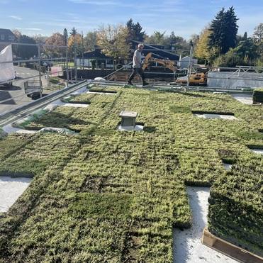 Handwerker verlegt Begr&uuml;nung auf Flachdach mit vorbereiteten Vegetationsmatten f&uuml;r Dachbegr&uuml;nung.